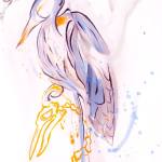 969511_533213233402207_1123176387_n